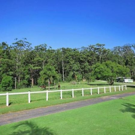 Cabin Country Retreat Paskins Farm Palmwoods Екстер'єр фото