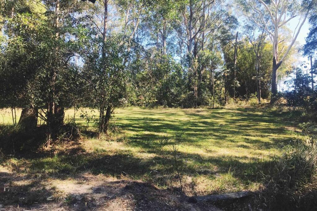 Cabin Country Retreat Paskins Farm Palmwoods Екстер'єр фото